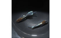 レッドクリフダークタイプリアルロングフィン（メダカ）1ペア&nbsp;メダカ屋えん&nbsp;横浜市