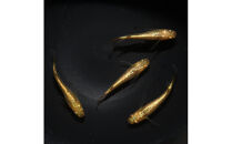 サンシャイン（メダカ）1ペア&nbsp;メダカ屋えん&nbsp;横浜市