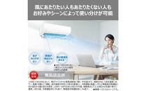 東芝　エアコン【標準設置費込み】フラッグシップモデル　8畳　RAS-V251DR(W)
