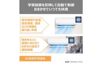 東芝　エアコン【標準設置費込み】フラッグシップモデル　8畳　RAS-V251DR(W)