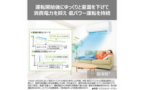東芝　エアコン【標準設置費込み】フラッグシップモデル　20畳　RAS-V632DR(W)