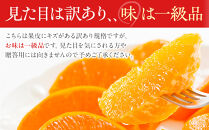 訳あり&nbsp;せとか&nbsp;1kg&nbsp;M～2Lサイズおまかせ&nbsp;高石垣ファーム