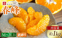 訳あり&nbsp;春峰&nbsp;1kg&nbsp;M～2Lサイズおまかせ&nbsp;高石垣ファーム