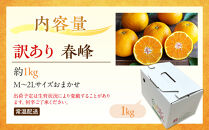 訳あり&nbsp;春峰&nbsp;1kg&nbsp;M～2Lサイズおまかせ&nbsp;高石垣ファーム