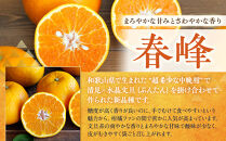 訳あり&nbsp;春峰&nbsp;1kg&nbsp;M～2Lサイズおまかせ&nbsp;高石垣ファーム