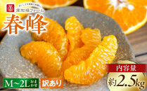 訳あり&nbsp;春峰&nbsp;2.5kg&nbsp;M～2Lサイズおまかせ&nbsp;高石垣ファーム