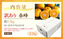 訳あり&nbsp;春峰&nbsp;2.5kg&nbsp;M～2Lサイズおまかせ&nbsp;高石垣ファーム