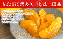 訳あり&nbsp;春峰&nbsp;2.5kg&nbsp;M～2Lサイズおまかせ&nbsp;高石垣ファーム