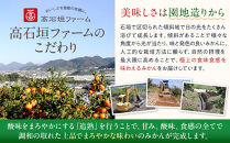 訳あり&nbsp;春峰&nbsp;4.5kg&nbsp;M～2Lサイズおまかせ&nbsp;高石垣ファーム