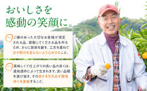 訳あり&nbsp;春峰&nbsp;4.5kg&nbsp;M～2Lサイズおまかせ&nbsp;高石垣ファーム