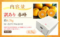 訳あり&nbsp;春峰&nbsp;4.5kg&nbsp;M～2Lサイズおまかせ&nbsp;高石垣ファーム