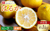 訳あり&nbsp;はるか&nbsp;1kg&nbsp;M～2Lサイズおまかせ&nbsp;高石垣ファーム