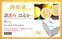 訳あり&nbsp;はるか&nbsp;1kg&nbsp;M～2Lサイズおまかせ&nbsp;高石垣ファーム