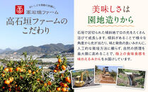 訳あり&nbsp;はるか&nbsp;1kg&nbsp;M～2Lサイズおまかせ&nbsp;高石垣ファーム