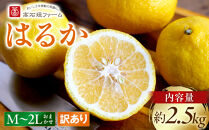 訳あり&nbsp;はるか&nbsp;2.5kg&nbsp;M～2Lサイズおまかせ&nbsp;高石垣ファーム