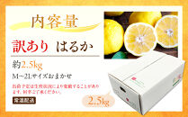 訳あり&nbsp;はるか&nbsp;2.5kg&nbsp;M～2Lサイズおまかせ&nbsp;高石垣ファーム