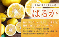 訳あり&nbsp;はるか&nbsp;2.5kg&nbsp;M～2Lサイズおまかせ&nbsp;高石垣ファーム