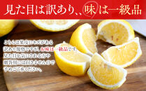 訳あり&nbsp;はるか&nbsp;2.5kg&nbsp;M～2Lサイズおまかせ&nbsp;高石垣ファーム