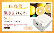 訳あり&nbsp;はるか&nbsp;4.5kg&nbsp;M～2Lサイズおまかせ&nbsp;高石垣ファーム