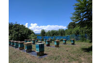 信濃乃国の純粋はちみつとこの実&nbsp;国産&nbsp;ギフト&nbsp;ハニーナッツ&nbsp;詰め合わせ&nbsp;蜂蜜&nbsp;ハチミツ