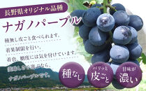 高野農園　ぶどう&nbsp;&nbsp;訳あり&nbsp;長野市松代産&nbsp;ナガノパープル&nbsp;約1kg&nbsp;バラ房&nbsp;果物&nbsp;ブドウ&nbsp;葡萄&nbsp;フルーツ&nbsp;デザート&nbsp;おやつ&nbsp;種なし&nbsp;TAKANO農園&nbsp;信州&nbsp;|&nbsp;&nbsp;ナガノパープル&nbsp;訳あり&nbsp;人気&nbsp;おすすめ&nbsp;産地直送&nbsp;&nbsp;送料無料&nbsp;&nbsp;長野県&nbsp;長野市&nbsp;信州&nbsp;信濃&nbsp;ふるさと納税