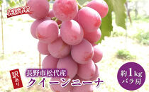 ぶどう&nbsp;&nbsp;長野市松代産&nbsp;訳ありクイーンニーナ&nbsp;約1kg&nbsp;バラ房&nbsp;葡萄&nbsp;ブドウ&nbsp;果物&nbsp;フルーツ&nbsp;デザート&nbsp;おやつ&nbsp;TAKANO農園&nbsp;信州&nbsp;果物類&nbsp;マスカット&nbsp;ギフト&nbsp;手土産