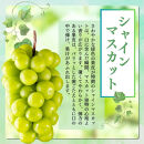 ぶどう&nbsp;&nbsp;シャインマスカット&nbsp;＆&nbsp;ナガノパープル&nbsp;2種類&nbsp;詰め合わせ&nbsp;葡萄&nbsp;ブドウ&nbsp;果物&nbsp;フルーツ&nbsp;シャイン&nbsp;マスカット&nbsp;デザート&nbsp;おやつ&nbsp;信州&nbsp;セット&nbsp;お楽しみ&nbsp;食べ比べ&nbsp;2026年秋発送