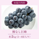 2026年産&nbsp;ぶどう&nbsp;&nbsp;種なし&nbsp;巨峰&nbsp;約&nbsp;2kg&nbsp;箱3～6房入り&nbsp;巨峰種無し&nbsp;フルーツ&nbsp;果物&nbsp;旬&nbsp;ブドウ&nbsp;葡萄&nbsp;おやつ&nbsp;信州&nbsp;長野県&nbsp;長野市&nbsp;2026年&nbsp;秋発送&nbsp;長野県長野市