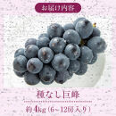 2026年産ぶどう&nbsp;&nbsp;種なし&nbsp;巨峰&nbsp;約4kg&nbsp;6～12房入り&nbsp;果物&nbsp;ブドウ&nbsp;葡萄&nbsp;フルーツ&nbsp;デザート&nbsp;おやつ&nbsp;信州&nbsp;2026年秋発送