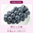 2026年産ぶどう&nbsp;&nbsp;種なし&nbsp;巨峰&nbsp;約4kg&nbsp;6～12房入り&nbsp;果物&nbsp;ブドウ&nbsp;葡萄&nbsp;フルーツ&nbsp;デザート&nbsp;おやつ&nbsp;信州&nbsp;2026年秋発送