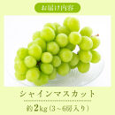 2026年産ぶどう&nbsp;&nbsp;シャインマスカット&nbsp;約2kg&nbsp;3～6房入り&nbsp;葡萄&nbsp;ブドウ&nbsp;フルーツ&nbsp;果物&nbsp;シャイン&nbsp;マスカット&nbsp;デザート&nbsp;おやつ&nbsp;信州&nbsp;2026年秋発送