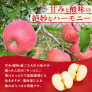 紅玉屋&nbsp;長野市産【訳あり】サンふじ10kg【2026年12月上旬以降の出荷分】（紅玉屋）&nbsp;|&nbsp;&nbsp;りんご&nbsp;フルーツ&nbsp;果物&nbsp;サンふじ&nbsp;訳あり&nbsp;人気&nbsp;おすすめ&nbsp;ギフト&nbsp;プレゼント&nbsp;送料無料&nbsp;長野県&nbsp;長野市&nbsp;信州&nbsp;信濃&nbsp;ふるさと納税