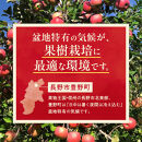 紅玉屋&nbsp;長野市産【訳あり】サンふじ10kg【2026年12月上旬以降の出荷分】（紅玉屋）&nbsp;|&nbsp;&nbsp;りんご&nbsp;フルーツ&nbsp;果物&nbsp;サンふじ&nbsp;訳あり&nbsp;人気&nbsp;おすすめ&nbsp;ギフト&nbsp;プレゼント&nbsp;送料無料&nbsp;長野県&nbsp;長野市&nbsp;信州&nbsp;信濃&nbsp;ふるさと納税