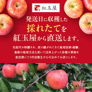 紅玉屋&nbsp;長野市産【訳あり】サンふじ10kg【2026年12月上旬以降の出荷分】（紅玉屋）&nbsp;|&nbsp;&nbsp;りんご&nbsp;フルーツ&nbsp;果物&nbsp;サンふじ&nbsp;訳あり&nbsp;人気&nbsp;おすすめ&nbsp;ギフト&nbsp;プレゼント&nbsp;送料無料&nbsp;長野県&nbsp;長野市&nbsp;信州&nbsp;信濃&nbsp;ふるさと納税