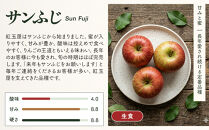 紅玉屋&nbsp;長野市産【訳あり】サンふじ10kg【2026年12月上旬以降の出荷分】（紅玉屋）&nbsp;|&nbsp;&nbsp;りんご&nbsp;フルーツ&nbsp;果物&nbsp;サンふじ&nbsp;訳あり&nbsp;人気&nbsp;おすすめ&nbsp;ギフト&nbsp;プレゼント&nbsp;送料無料&nbsp;長野県&nbsp;長野市&nbsp;信州&nbsp;信濃&nbsp;ふるさと納税