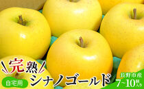 2026年産&nbsp;ご自宅用　完熟シナノゴールド&nbsp;7-10個入り&nbsp;果物&nbsp;りんご&nbsp;フルーツ&nbsp;デザート&nbsp;食後&nbsp;長野りんご&nbsp;信州りんご&nbsp;ジューシー&nbsp;生産者直送