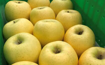 2026年産&nbsp;ご自宅用　完熟シナノゴールド&nbsp;7-10個入り&nbsp;果物&nbsp;りんご&nbsp;フルーツ&nbsp;デザート&nbsp;食後&nbsp;長野りんご&nbsp;信州りんご&nbsp;ジューシー&nbsp;生産者直送