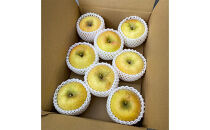 2026年産&nbsp;ご自宅用　完熟シナノゴールド&nbsp;7-10個入り&nbsp;果物&nbsp;りんご&nbsp;フルーツ&nbsp;デザート&nbsp;食後&nbsp;長野りんご&nbsp;信州りんご&nbsp;ジューシー&nbsp;生産者直送