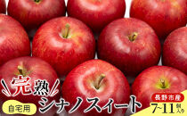 2026年産&nbsp;ご自宅用　完熟シナノスイート&nbsp;7-11個入り&nbsp;果物&nbsp;りんご&nbsp;フルーツ&nbsp;デザート&nbsp;食後&nbsp;長野りんご&nbsp;信州りんご&nbsp;ジューシー&nbsp;あふれる果汁