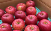 2026年産&nbsp;ご自宅用　完熟シナノスイート&nbsp;7-11個入り&nbsp;果物&nbsp;りんご&nbsp;フルーツ&nbsp;デザート&nbsp;食後&nbsp;長野りんご&nbsp;信州りんご&nbsp;ジューシー&nbsp;あふれる果汁