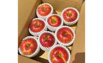 2026年産&nbsp;ご自宅用　完熟シナノスイート&nbsp;7-11個入り&nbsp;果物&nbsp;りんご&nbsp;フルーツ&nbsp;デザート&nbsp;食後&nbsp;長野りんご&nbsp;信州りんご&nbsp;ジューシー&nbsp;あふれる果汁