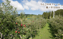 りんごふたいろ　8個入（りんごのお菓子詰め合わせ）&nbsp;スイーツ&nbsp;アップルパイ&nbsp;焼菓子&nbsp;おやつ&nbsp;ティータイム