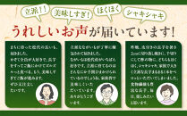 高野農園　長野市松代産&nbsp;TAKANO農園　長いも&nbsp;約10kg（訳あり）【8～20本】長芋　ながいも&nbsp;|&nbsp;ながいも&nbsp;野菜&nbsp;いも&nbsp;芋&nbsp;大容量&nbsp;人気&nbsp;おすすめ&nbsp;根菜&nbsp;健康&nbsp;長野県&nbsp;長野市&nbsp;信州&nbsp;信濃&nbsp;ふるさと納税