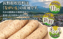 高野農園　長野市松代産&nbsp;TAKANO農園　長いも&nbsp;約10kg（訳あり）【8～20本】長芋　ながいも&nbsp;|&nbsp;ながいも&nbsp;野菜&nbsp;いも&nbsp;芋&nbsp;大容量&nbsp;人気&nbsp;おすすめ&nbsp;根菜&nbsp;健康&nbsp;長野県&nbsp;長野市&nbsp;信州&nbsp;信濃&nbsp;ふるさと納税