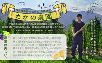 高野農園　長野市松代産&nbsp;TAKANO農園　長いも&nbsp;約10kg（訳あり）【8～20本】長芋　ながいも&nbsp;|&nbsp;ながいも&nbsp;野菜&nbsp;いも&nbsp;芋&nbsp;大容量&nbsp;人気&nbsp;おすすめ&nbsp;根菜&nbsp;健康&nbsp;長野県&nbsp;長野市&nbsp;信州&nbsp;信濃&nbsp;ふるさと納税