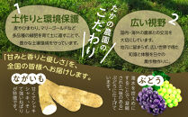 高野農園　長野市松代産&nbsp;TAKANO農園　長いも&nbsp;約10kg（訳あり）【8～20本】長芋　ながいも&nbsp;|&nbsp;ながいも&nbsp;野菜&nbsp;いも&nbsp;芋&nbsp;大容量&nbsp;人気&nbsp;おすすめ&nbsp;根菜&nbsp;健康&nbsp;長野県&nbsp;長野市&nbsp;信州&nbsp;信濃&nbsp;ふるさと納税