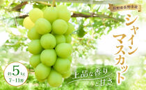 2026年産&nbsp;長野県長野市産シャインマスカット&nbsp;約5kg&nbsp;7房～11房&nbsp;シャイン&nbsp;マスカット&nbsp;葡萄&nbsp;ぶどう&nbsp;果物&nbsp;フルーツ&nbsp;信州
