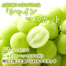 2026年産&nbsp;長野県長野市産シャインマスカット&nbsp;約5kg&nbsp;7房～11房&nbsp;シャイン&nbsp;マスカット&nbsp;葡萄&nbsp;ぶどう&nbsp;果物&nbsp;フルーツ&nbsp;信州