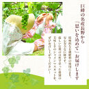 2026年産&nbsp;長野県長野市産シャインマスカット&nbsp;約5kg&nbsp;7房～11房&nbsp;シャイン&nbsp;マスカット&nbsp;葡萄&nbsp;ぶどう&nbsp;果物&nbsp;フルーツ&nbsp;信州