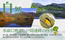 長野市戸隠内宿泊補助券&nbsp;120000円分